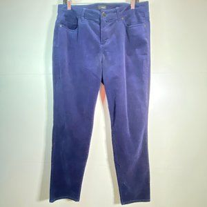 Edyson Hampton Skinny Micro Corduroy Pants